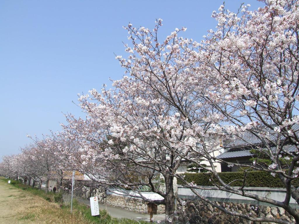 Jyoseikan Kochi  Exterior photo